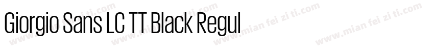 Giorgio Sans LC TT Black Regular字体转换